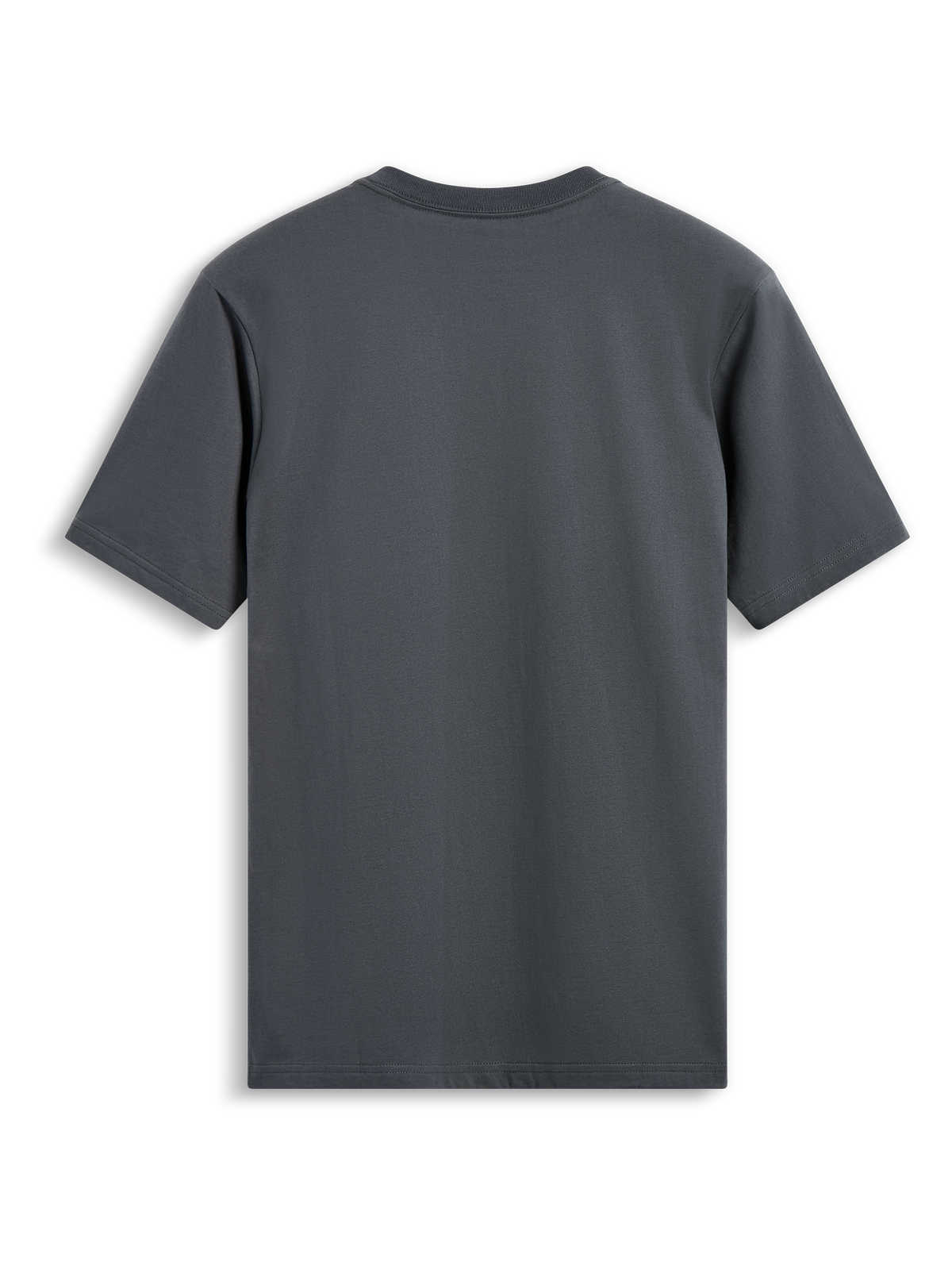 Alpinestars Always 2.0 CSF Tee, kortærmet t-shirt, koksgrå, enkel bagfra-visning, afslappet motorsport-inspireret streetwear