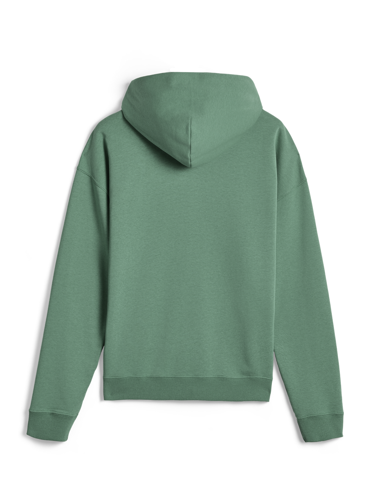 Alpinestars Essentials Ageless Hoodie, afslappet streetwear, Cactus grøn, set bagfra, lange ærmer, hættetrøje med ribstrikkede manchetter og kant, rent minimalistisk design