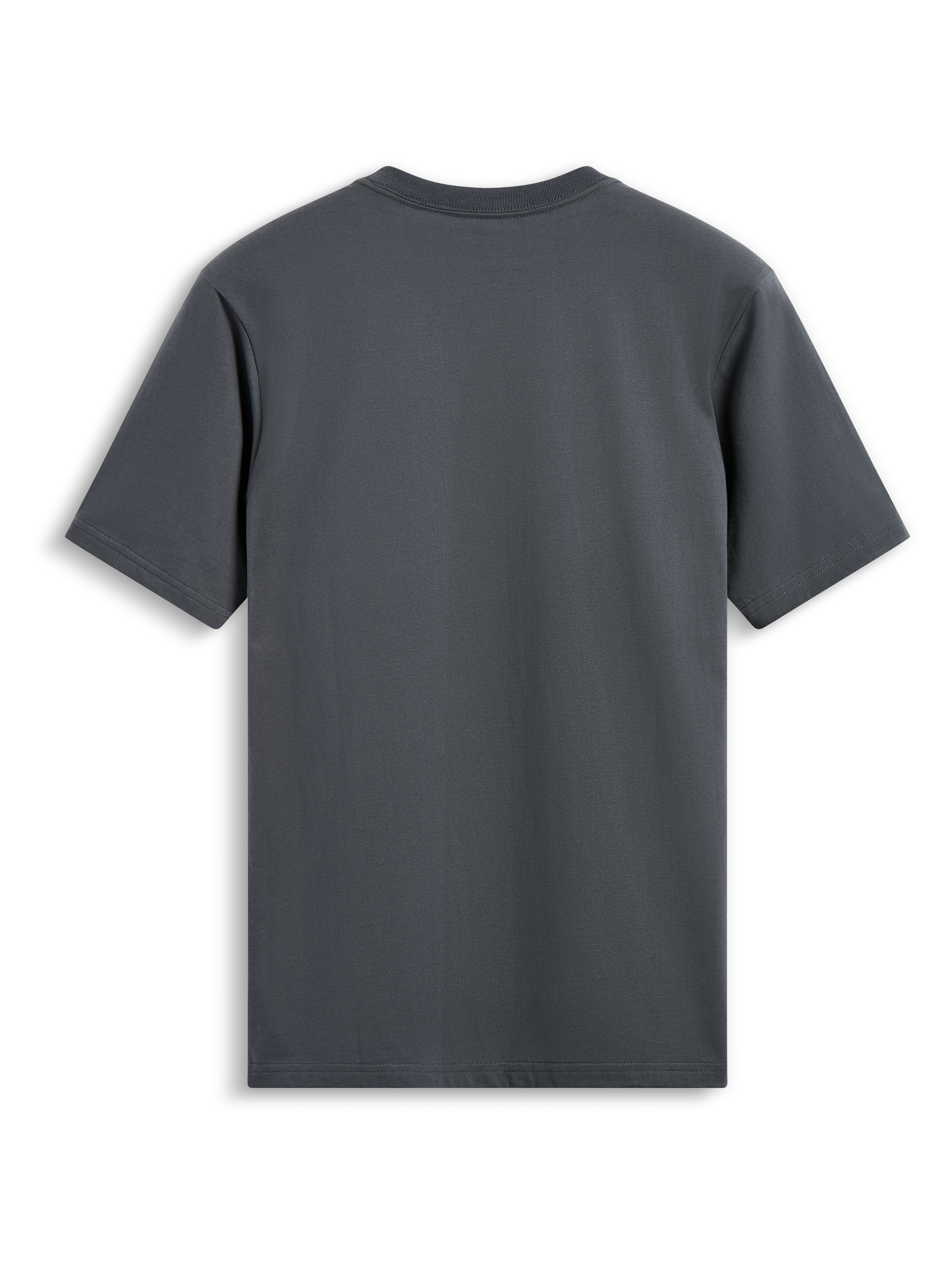 Alpinestars Always 2.0 CSF Tee, kortærmet t-shirt, koksgrå, enkel bagfra-visning, afslappet motorsport-inspireret streetwear