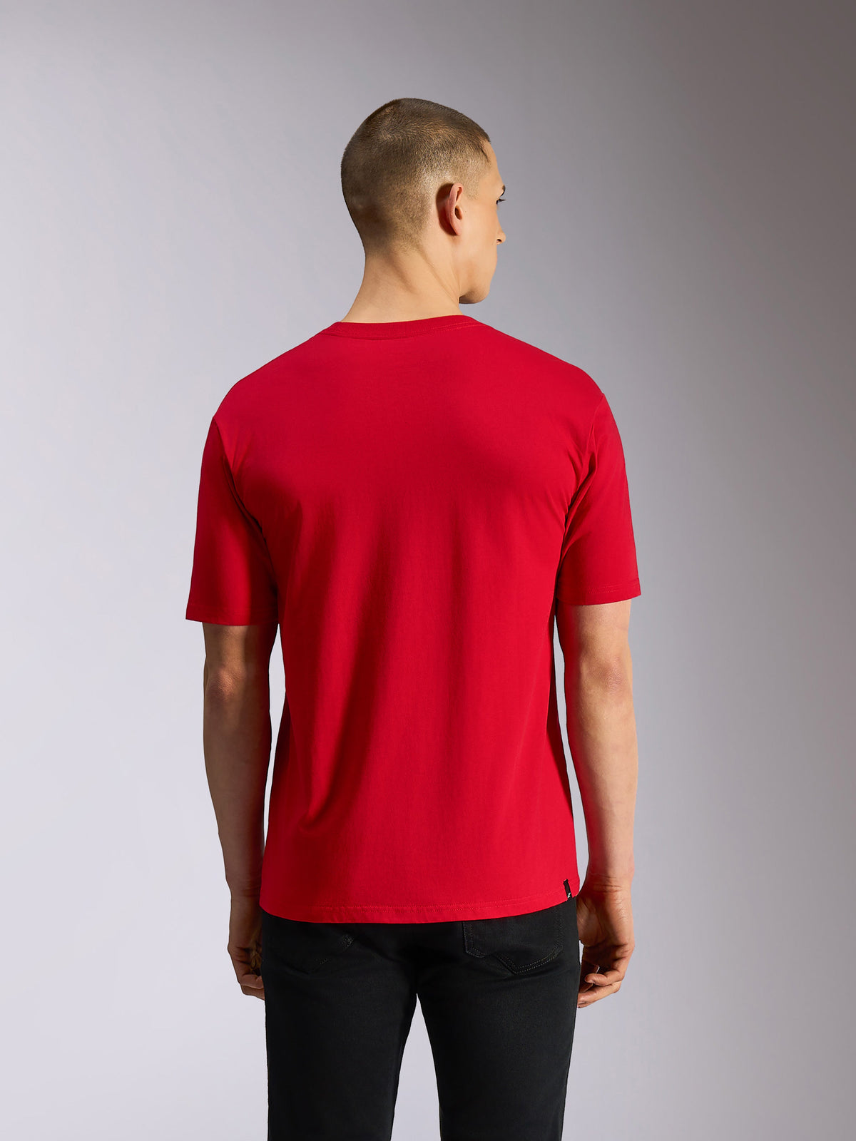 Alpinestars Plate CSF Tee, kortærmet T-shirt, rød, set bagfra, viser ensfarvet rødt stof og afslappet pasform, båret med sorte bukser, motorsport-inspireret streetwear