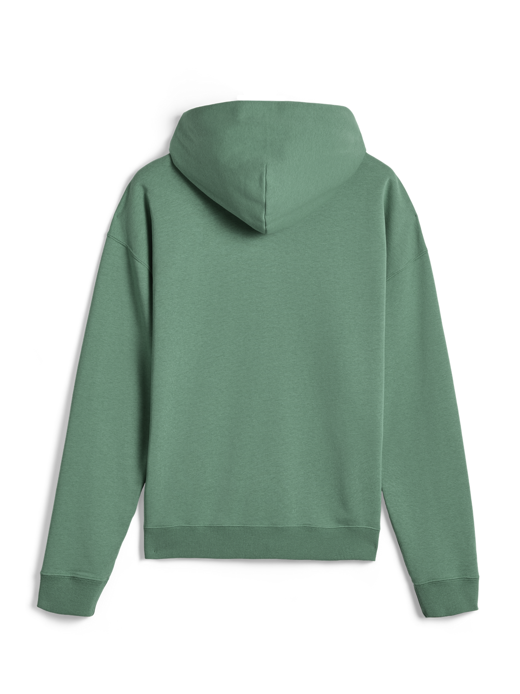 Alpinestars Essentials Ageless Hoodie, afslappet streetwear, Cactus grøn, set bagfra, lange ærmer, hættetrøje med ribstrikkede manchetter og kant, rent minimalistisk design
