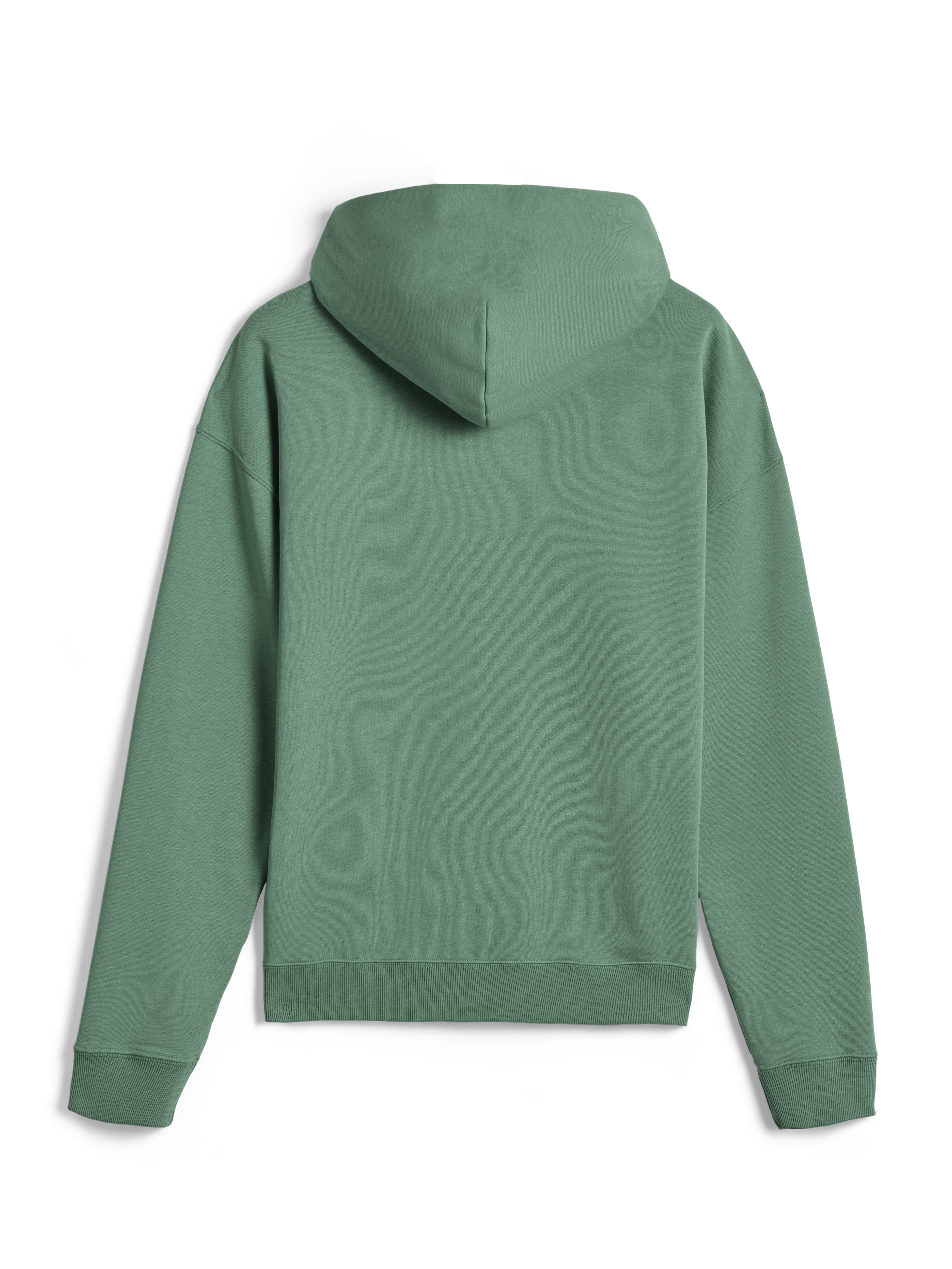 Alpinestars Essentials Ageless Hoodie, afslappet streetwear, Cactus grøn, set bagfra, lange ærmer, hættetrøje med ribstrikkede manchetter og kant, rent minimalistisk design